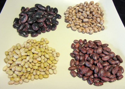 Heirloom Beans from Rancho Gordo - Scarlet Runner Bean, Ojo de Cabra Bean (Goat's Eye), Vallarta Bean, Rio Zape Bean